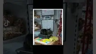 кота покупаю однозначно на до корм. 🐱 