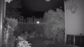 Neuer Flauschcontent in unserem Garten