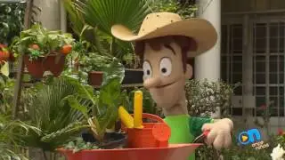 CHILANGO INFORMANTE: HISTORIA DE CANAL 11 Y CANAL 22