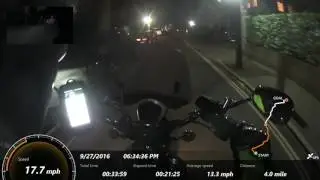 Almost hit a cat...