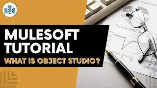 Blue prism Tutorial What is Object studio?