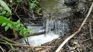 Плотины бобров 1 (Beaver Dam). Relax