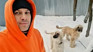Привет Друзья и Вам Враги Привет.Всех с Праздниками😊💋