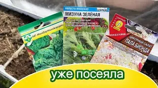 Весенние посевы в теплице / Земля готова принять первенцев / Беларусь Минская область