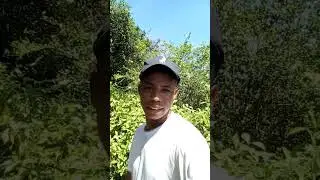 ami nadie me hace seguir trabajando hoy