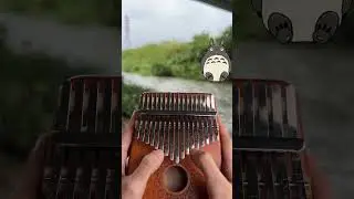 Totoro 🤍 