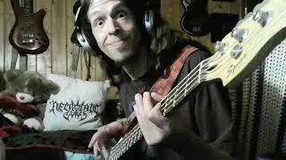 Practice. Where is My Mind? (The Pixies) #bass #bassist