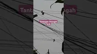 Keseimbangan #shortvideo #shors #listrik #pln #kabellistrik #tower #jakartatimur