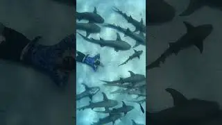 Place in Maldives that don't feel real #shorts #top #facts #maldives #btsshorts