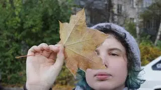 Ответы на вопросы | обучение в британке, критика и стоит ли заводить канал на ютубе