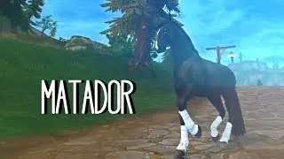 SSO || MATADOR