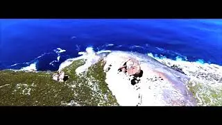 C.O.F.F.I.N - White Dog (Official Video)