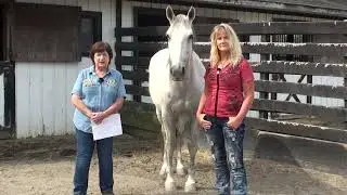 Susan Wagner & Anna Twinney Discuss The SAFE Act