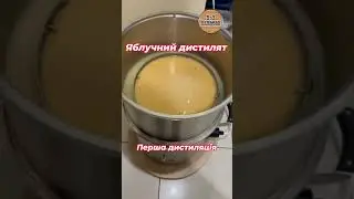 Яблучний дистиллят: перша дистиляція. зародження дистиляту тут : https://vm.tiktok.com/ZMjQNkYoM/