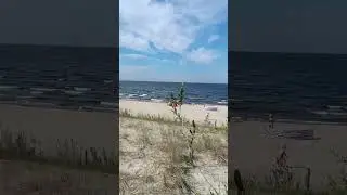18 июня 2024 г.