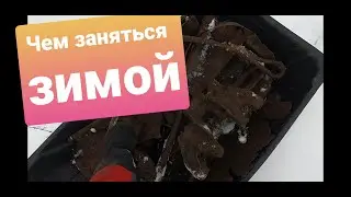 Нашёл сброс железа возле фермы.