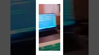 coding life 