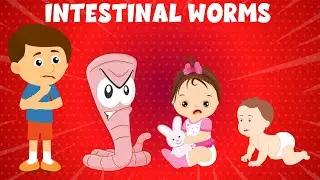 Intestinal Worms, Parasitic Worms, Types of Worms in Humans, Symptoms, and Treatment