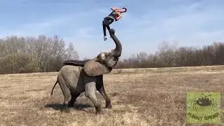 НЕВЕРОЯТНЫЕ ТРЮКИ, ЛЮДИ 80 УРОВНЯ, ФАНТАСТИЧЕСКИЕ ТРЮКИ 2020, AMAZING PEOPLE
