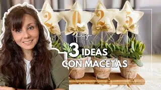 Unique Ideas for Decorating with Flower Pots for the New Year