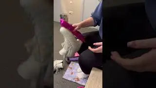 Рутина😋 