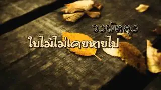 ใบไม้ไม่เคยหายไป - วงพัทลุง【Unofficial Audio】