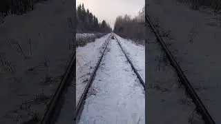 21 ноября 2023 г.