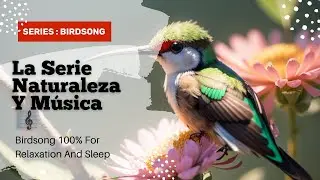 1 Hour Of Nature And Music Series: Birdsong 100% For Relaxation And Sleep