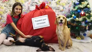 Подарки для питомцев Лежанки, Домики, гамаки