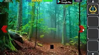 River Forest Fun Escape Walkthrough