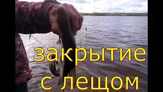 Закрываем сезон . Как разбудить леща . Рыбалка с мастером донной ловли на Волге .