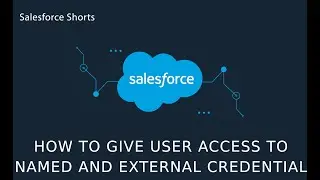 How to give access to Named Credential and External Credential to User | Salesfo