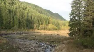 Lake Bottom Reforestation, 2010. Лесовосстановление на дне былого озера, 2010 (866sp)