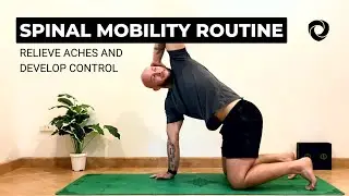 Spinal Mobility & Core Strength Routine