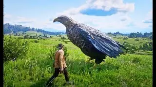 The People Reaction When Arthur Flying Giant Eagle in RDR2