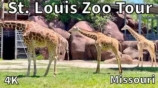 Tour of the St. Louis Zoo - St. Louis, Missouri - USA