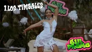 1 - LOS TIMBALES | EL PEPO | SIN PROMO (VISUALIZER)