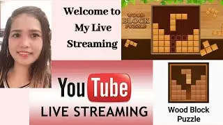 Let's Play Wood Block Puzzle | Best Score 4073