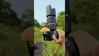 Dslr camera flash diffuser 