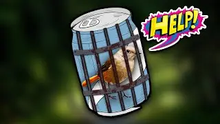 Easy Bird Trap - Creative Method DIY Bird Trap Using Cans That Work 100%