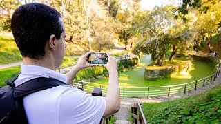 Cómo hacer fotos en un parque con el móvil?