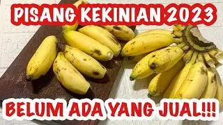 THE HOTTEST SELLING IDEAS OF 2023!! HOW TO MAKE BANANAS LIKE THIS, GET READY TO BECOME A BOSS!!