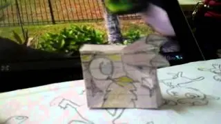 Voice Acting By Supperred angry birds friends