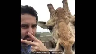 Latest Suh Dude Vine trends compilation August 2016