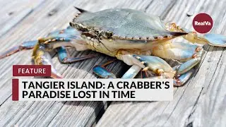 Tangier Island: A Crabber's Paradise Lost in Time