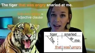What is an adjective clause? I'll show you!