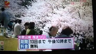 Playing Shinobue at Wakayama Castle - Featured on Kansai Television on April 2, 2014