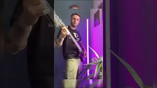 Don’t play games with me 😡 #shorts #basscover #guitarcover