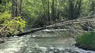 Relaxing 6 hours background river sound