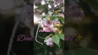 Essential tips or women!💖 #beautyempowerment #love #selfcare #flowers